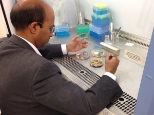 Dr. Chandra Emani works on samples in his lab at the Owensboro Centre for Business and Research. 