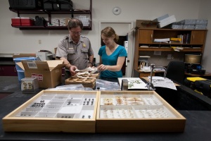 WKU Sara Wigginton discussed a curatorial project with Brice Leech, natural resources specialist at Mammoth Cave National Park. (WKU photo by Clinton Lewis) 